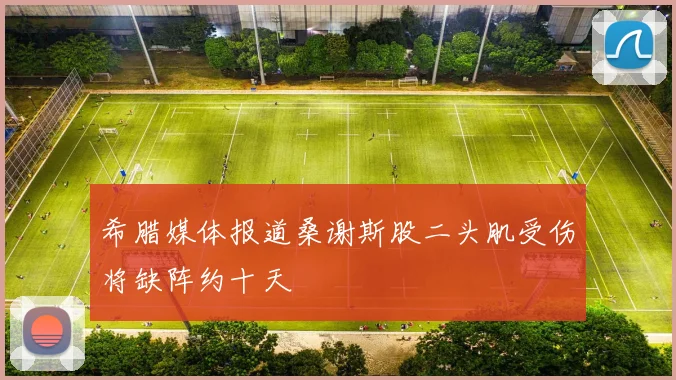 希腊媒体报道桑谢斯股二头肌受伤将缺阵约十天