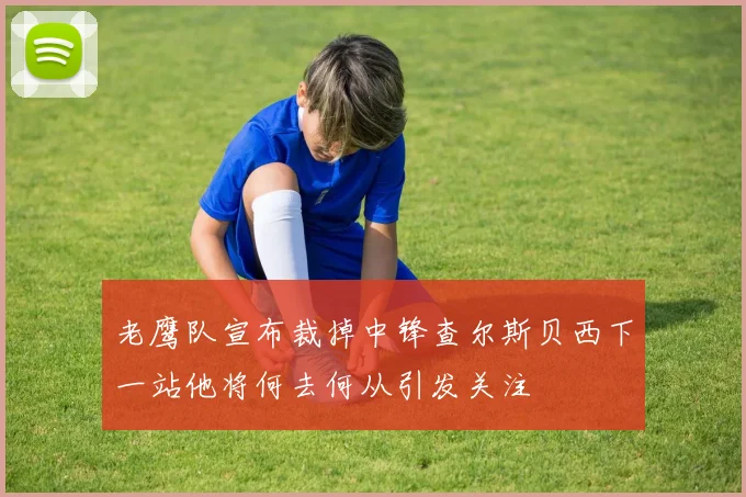 老鹰队宣布裁掉中锋查尔斯贝西下一站他将何去何从引发关注