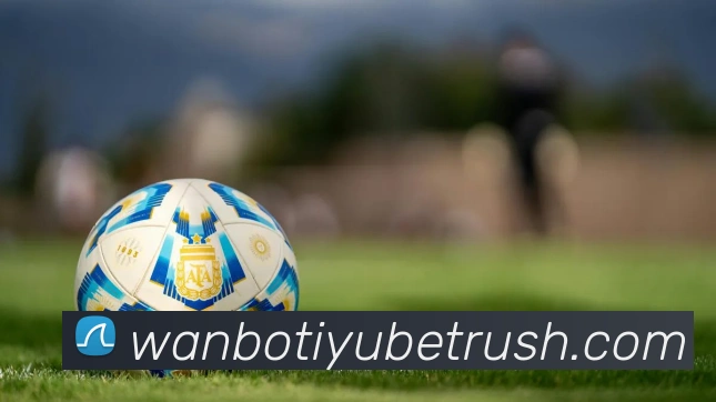 多媒体互动体验